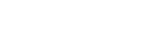 Lurer.com Logo