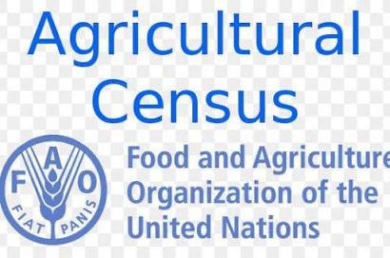 Продовольственная и сельскохозяйственная оон. Food and Agriculture Organization of the United Nations. FAO логотип. ФАО ООН. Food and Agriculture Organization FAO.